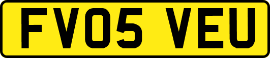 FV05VEU
