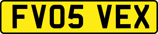 FV05VEX