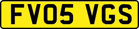 FV05VGS