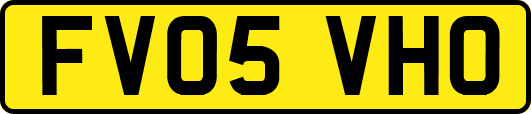 FV05VHO