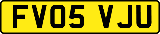 FV05VJU