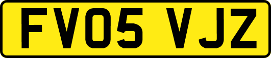 FV05VJZ