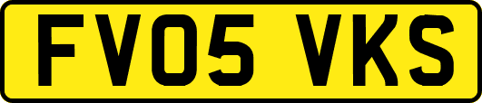 FV05VKS