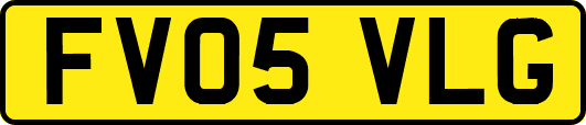 FV05VLG