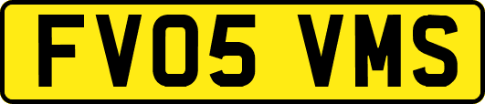 FV05VMS