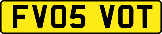 FV05VOT