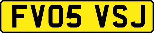 FV05VSJ