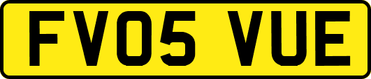 FV05VUE