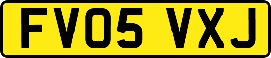 FV05VXJ