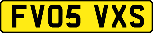 FV05VXS
