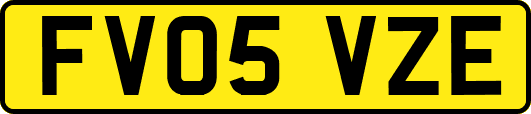 FV05VZE