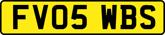 FV05WBS