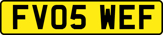 FV05WEF