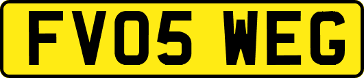 FV05WEG