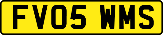 FV05WMS
