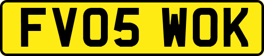 FV05WOK