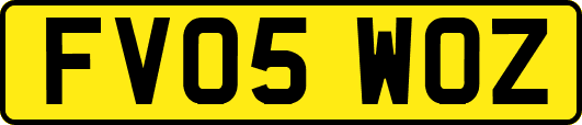 FV05WOZ