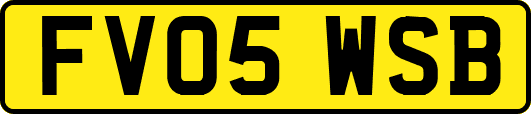 FV05WSB
