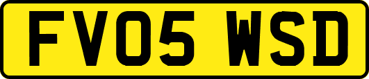 FV05WSD