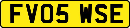 FV05WSE