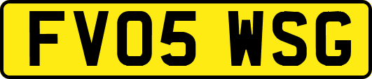 FV05WSG