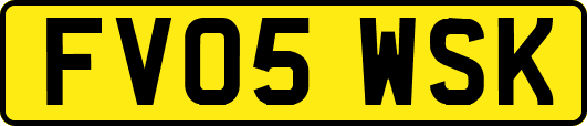 FV05WSK