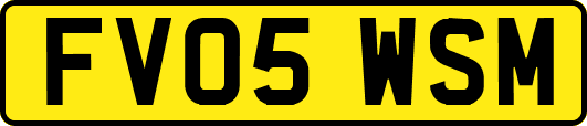 FV05WSM