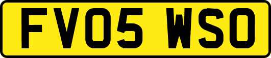 FV05WSO