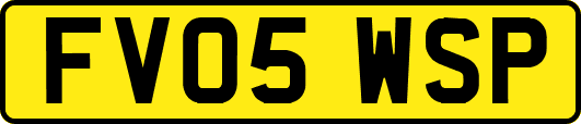 FV05WSP