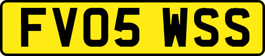 FV05WSS