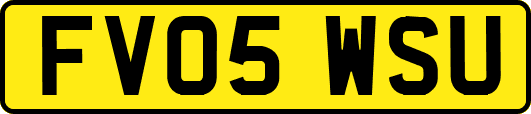 FV05WSU