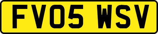 FV05WSV
