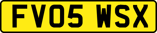 FV05WSX