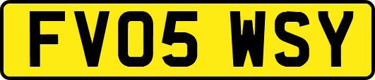 FV05WSY
