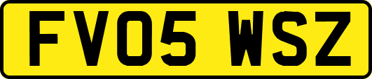 FV05WSZ