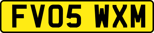 FV05WXM