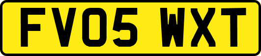 FV05WXT