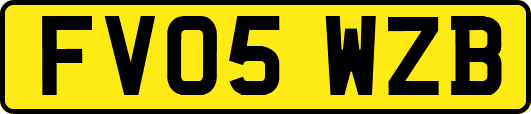 FV05WZB