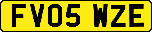 FV05WZE
