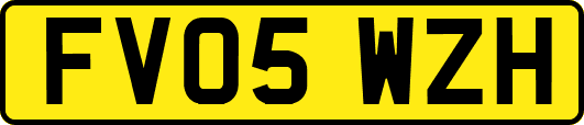 FV05WZH