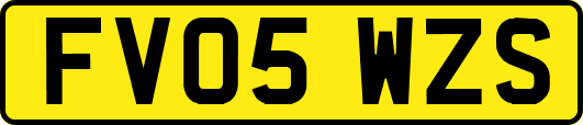 FV05WZS