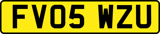 FV05WZU