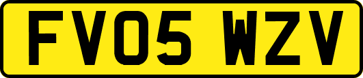 FV05WZV