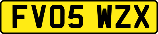 FV05WZX