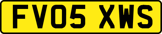 FV05XWS