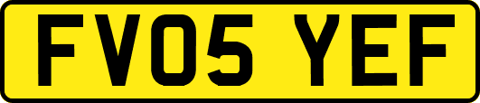 FV05YEF