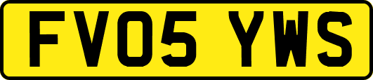 FV05YWS