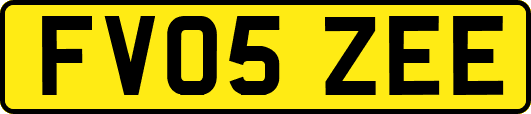 FV05ZEE