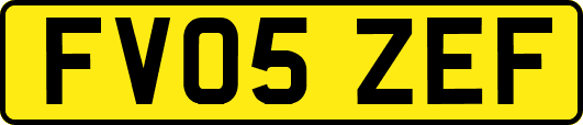 FV05ZEF