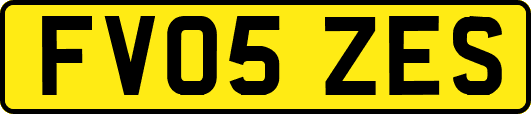 FV05ZES